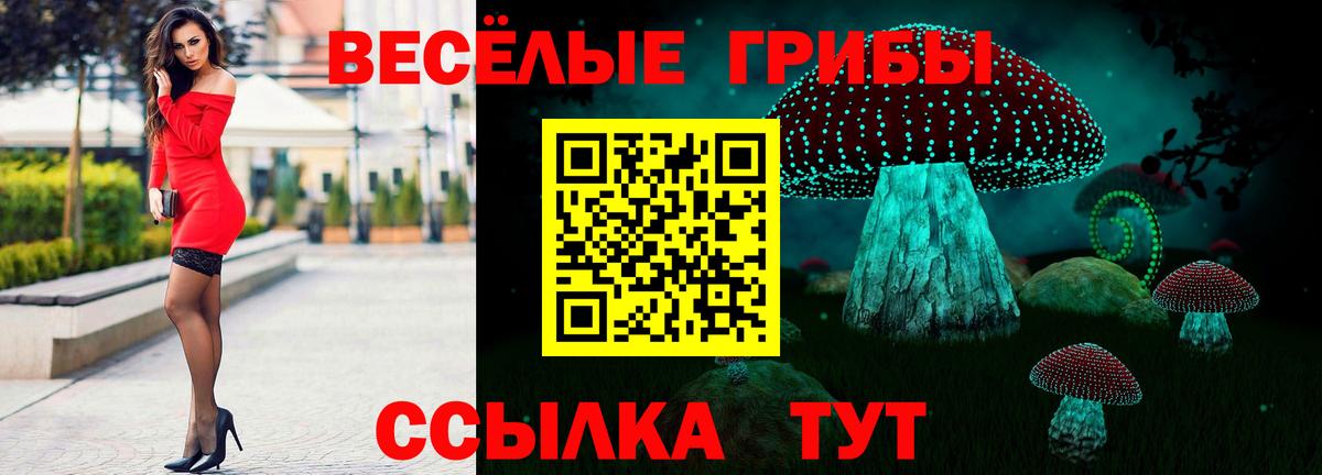Кемерово  Псилоцибиновые грибы мухоморы  Вход с VPN 