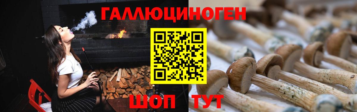 Псилоцибиновые грибы MAGIC MUSHROOMS Кемерово